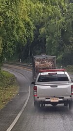 20181022_150638.jpg