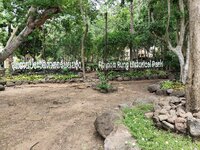IMG_25630608_105856.jpg