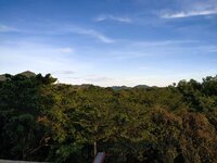 IMG_25631006_172039.jpg