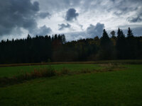 IMG-20201011-130630.jpg