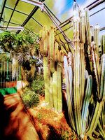 IMG-20201005-125707-3.jpg