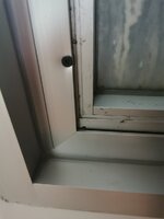 IMG_20201011_164144.jpg