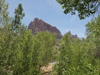 2018-06-29 12.27.18.jpg 2018-06-29 12.27.18.jpg