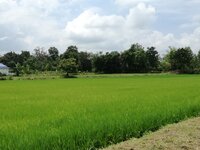 IMG_20180915_123247.jpg