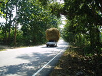 Thailand Dezember 2004 128.jpg