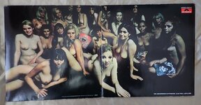 Electric Lady 1.jpg