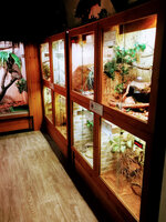 IMG-20201007-172028-2.jpg IMG-20201007-172028-2.jpg