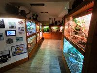 IMG-20201007-172035-2.jpg IMG-20201007-172035-2.jpg