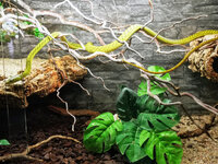 IMG-20201007-172118-2.jpg IMG-20201007-172118-2.jpg