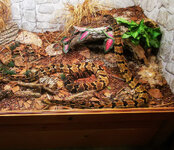 IMG-20201007-172149-2.jpg IMG-20201007-172149-2.jpg