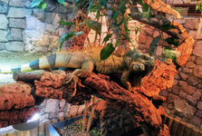 IMG-20201007-172235-2.jpg IMG-20201007-172235-2.jpg