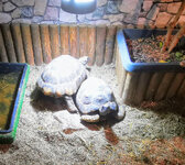 IMG-20201007-172240-2.jpg IMG-20201007-172240-2.jpg