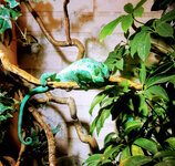 IMG-20201007-172326-2.jpg IMG-20201007-172326-2.jpg