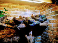 IMG-20201007-172346-3.jpg IMG-20201007-172346-3.jpg