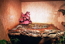 IMG-20201007-172406-2.jpg IMG-20201007-172406-2.jpg