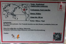 IMG-20201007-171431-2.jpg IMG-20201007-171431-2.jpg