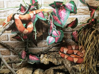 IMG-20201007-171435-2.jpg IMG-20201007-171435-2.jpg