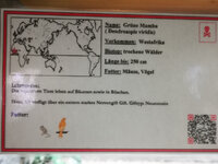 IMG-20201007-170257.jpg IMG-20201007-170257.jpg