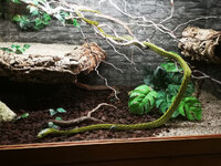 IMG-20201007-170250.jpg IMG-20201007-170250.jpg