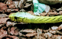 IMG-20201007-170305-2.jpg IMG-20201007-170305-2.jpg