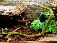 IMG-20201007-170348-2.jpg IMG-20201007-170348-2.jpg