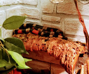 IMG-20201007-170952-2.jpg IMG-20201007-170952-2.jpg