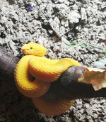 IMG-20201007-171101-2.jpg IMG-20201007-171101-2.jpg