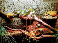 IMG-20201007-171109-2.jpg IMG-20201007-171109-2.jpg