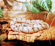 IMG-20201007-171206-2.jpg IMG-20201007-171206-2.jpg