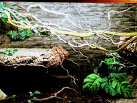 IMG-20201007-171341-2.jpg IMG-20201007-171341-2.jpg