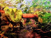 IMG-20201007-171532-2.jpg IMG-20201007-171532-2.jpg