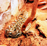 IMG-20201007-171553-3.jpg IMG-20201007-171553-3.jpg