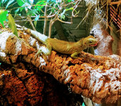 IMG-20201007-170615-2.jpg IMG-20201007-170615-2.jpg