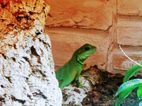 IMG-20201007-170640-2.jpg IMG-20201007-170640-2.jpg