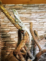 IMG-20201007-170712-2.jpg IMG-20201007-170712-2.jpg