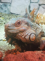 IMG-20201007-170731.jpg IMG-20201007-170731.jpg