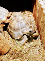 IMG-20201007-170822-2.jpg IMG-20201007-170822-2.jpg