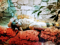 IMG-20201007-170832-2.jpg IMG-20201007-170832-2.jpg