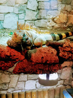 IMG-20201007-170844-2.jpg IMG-20201007-170844-2.jpg