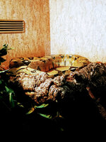 IMG-20201007-170908-2.jpg IMG-20201007-170908-2.jpg