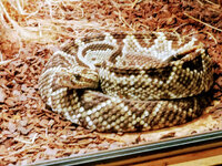 IMG-20201007-170046-2.jpg IMG-20201007-170046-2.jpg