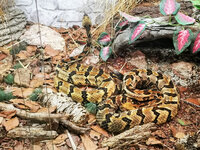 IMG-20201007-170357-2.jpg IMG-20201007-170357-2.jpg