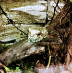 IMG-20201007-170406-2.jpg IMG-20201007-170406-2.jpg