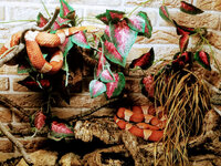 IMG-20201007-170437-2.jpg IMG-20201007-170437-2.jpg