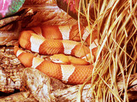 IMG-20201007-170443-2.jpg IMG-20201007-170443-2.jpg