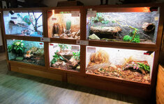 IMG-20201007-170506-2.jpg IMG-20201007-170506-2.jpg