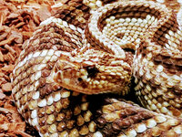 IMG-20201007-170040-2.jpg IMG-20201007-170040-2.jpg