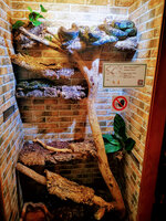 IMG-20201007-165410-2.jpg IMG-20201007-165410-2.jpg