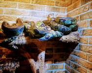 IMG-20201007-165415-2.jpg IMG-20201007-165415-2.jpg