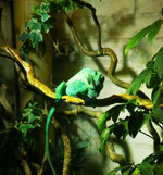 IMG-20201007-165439-2.jpg IMG-20201007-165439-2.jpg